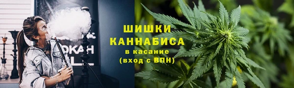 гидра Абаза