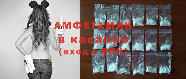 гидра Абаза