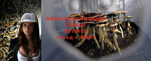 метамфетамин Алексеевка