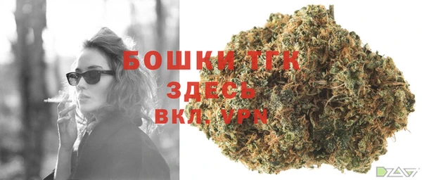 гидра Абаза