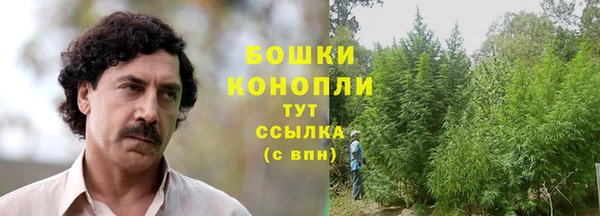 spice Абинск